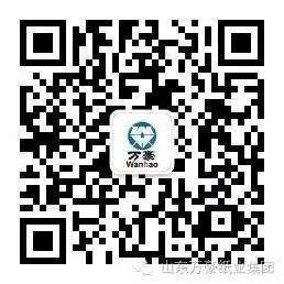 星空官方站网页版