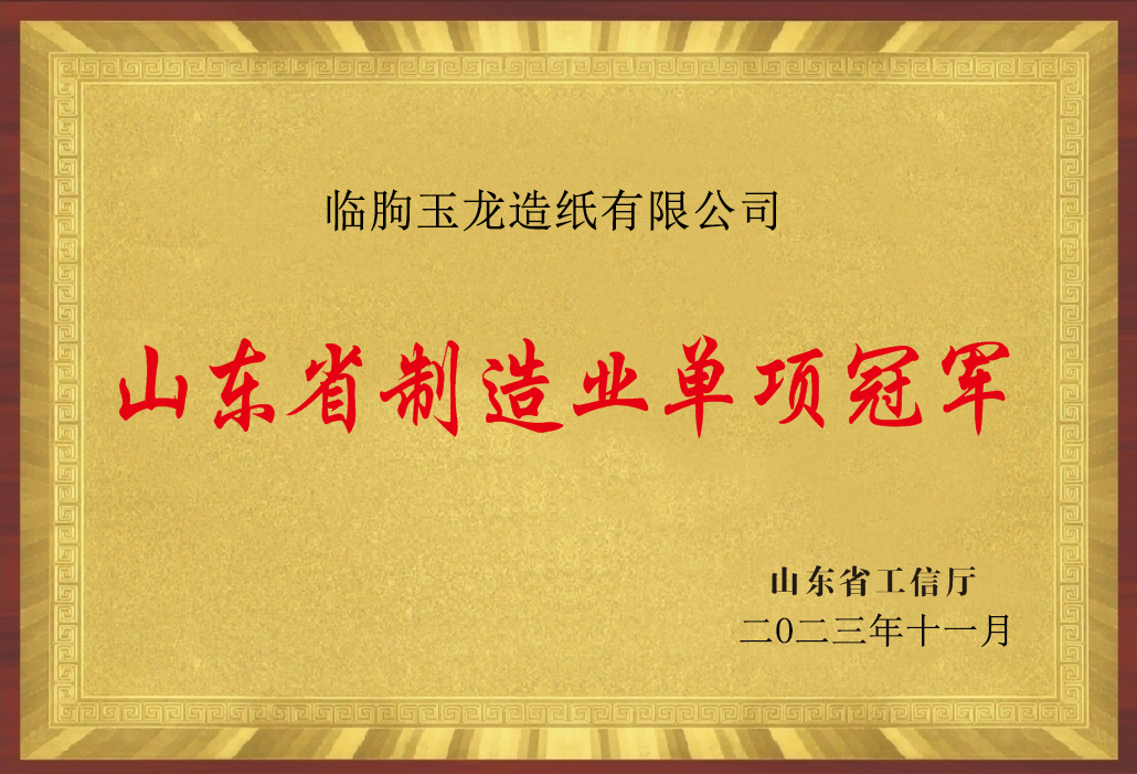 山东省制造业单项冠军（临朐玉龙造纸有限公司）
